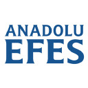 AEFES.IS