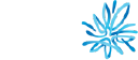 AMP.AX