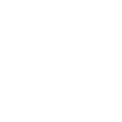 APT