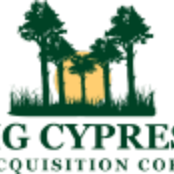 BCYP