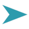 DIISX