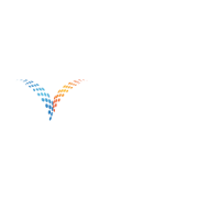 EVFM