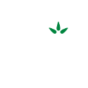 MN