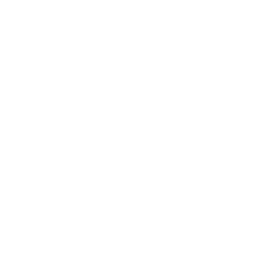 NBSE