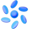 SDEV