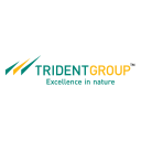 TRIDENT.NS