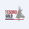 TSORF