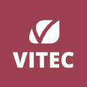 VIT-B.ST